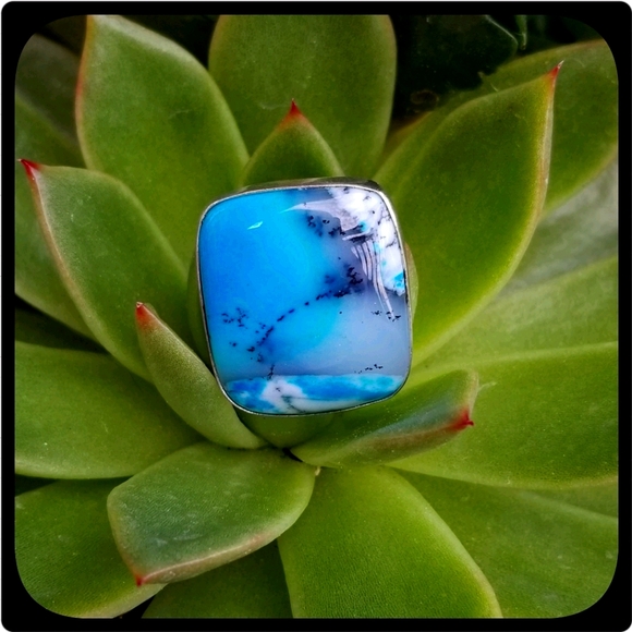 Boethia Jewelry - Opalized Dendrite sterling silver ring